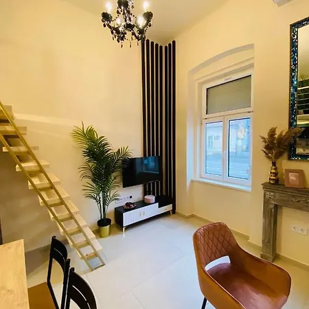 Apartment Delux Center - *